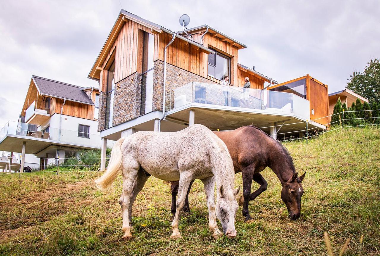Golden Hill Country Chalets & Suites Waldschach Exterior foto